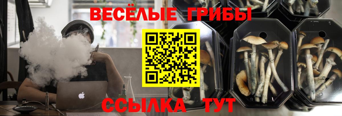 Псилоцибиновые грибы прущие грибы Апшеронск