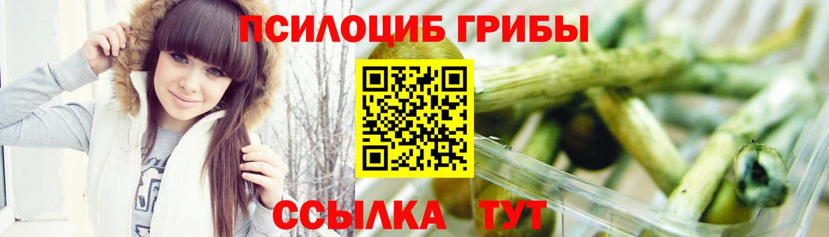 Апшеронск  Псилоцибиновые грибы мицелий  Вход с VPN 